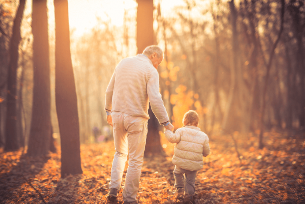 A grandfather holding hands with his young grandson while walking through a forest in autumn. The sun is shining through the trees, creating a warm, golden light on the ground.