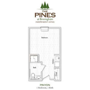The Pines at Birmingham - Floor Plans - Pinyon